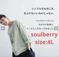 大きいサイズ　4L ソウルベリー　きほんのボーダーカットソーのサムネイル