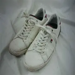 Item thumbnail for item 812d32fa-b737-43a3-9a09-4c9147a4f7f9