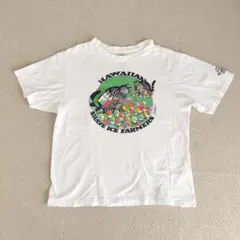 Hawaiian Shave Ice Farmers Tシャツ