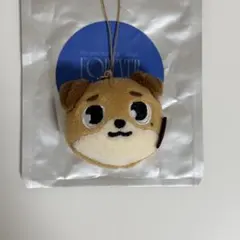 2026年最新】DAY6 ぬいぐるみの人気アイテム - メルカリ