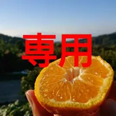 kana0628様 お得な９kg 熊本産不知火デコポン