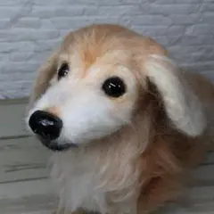 羊毛フェルト　yusaso様確認用　ミニチュアダックスフンド　犬　オーダー