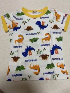 HOT BISCUITS 恐竜柄 Tシャツのサムネイル