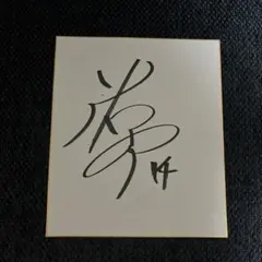 希少】谷村新司 直筆サイン色紙 ＆ ツアーパンフレット セット 当時物