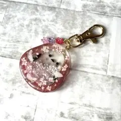 キーホルダー　チャーム　レジン　シャカシャカキーホルダー　シマエナガ　桜