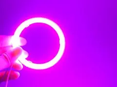 COBイカリング　70Φパープル・ピンク　2本set【2334-purple】のサムネイル