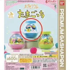 カプセリウム　たまごっち まめっち