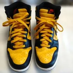 Nike Dunk High Retro Black&Yellow 27cm