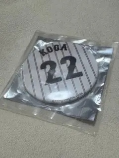 侍ジャパン 古賀選手　ミラー