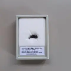 シホテアリン隕石 隕鉄 標本 東京サイエンス