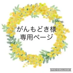 がんもどき様専用ページ