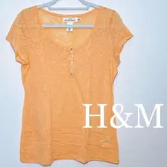 Item thumbnail for item 85cc1b2f-9569-438c-898c-b96b4da1a794