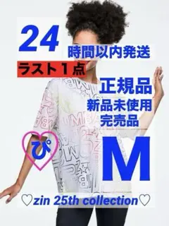 ラスト1点 正規品 新品 ZUMBA ZIN25周年 メッシュ Tシャツ Mのサムネイル
