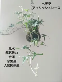 ☆☆☆様 リクエスト 2点 まとめ商品