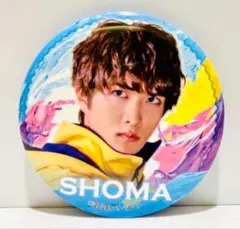 2026年最新】ショウマ・ストマックの人気アイテム - メルカリ