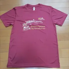 湘南藤沢市民マラソン2026 参加賞Tシャツ - メルカリ