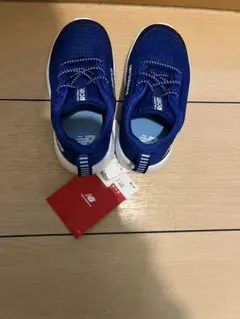 Item thumbnail for item c74fb5b9-0477-4416-a83c-02a03e12e7d1