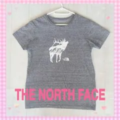 THE NORTH FACE 半袖Tシャツのサムネイル