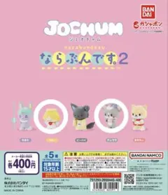 jochum ならぶんです2 もこ　チュララ