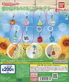 彩り変わった　涼を感じるめじるしアクセサリー　ガチャガチャ　4点セット