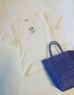 未使用　ZARA Tシャツ　刺繍　ZARA カットソー　Tシャツ　春物