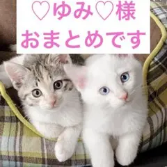 ♡ゆみ♡様 リクエスト 2点 まとめ商品