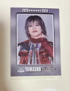 2026年最新】山本彰吾フォトカードの人気アイテム - メルカリ