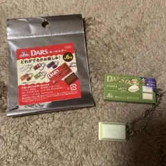 DARS キーホルダー ピスタチオ