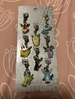 ポケモン 全国ずかんメタルチャーム　イーブイ進化系キーホルダーセット