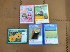 新品 ノート 5冊セット