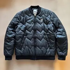 Item thumbnail for item 2bf6dba2-2039-4281-86d3-faaf4a56cfcb