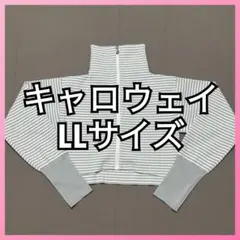 Item thumbnail for item aeee985f-2f2c-4a35-a654-16e608540300