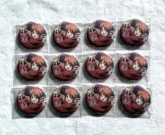 25日まで出品☆最終価格☆新劇場版 銀魂 吉原大炎上 神楽 缶バッジ 12個