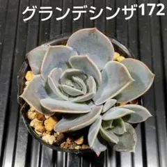 さんたろう様 リクエスト 3点 まとめ商品