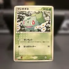 フシギダネ PROMO ADV-Pプロモカード 051/ADV-P