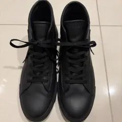 Item thumbnail for item e8f34a33-138c-47fb-ad81-ffac1f95592c