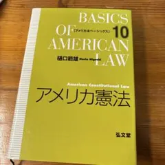 BASICS OF AMERICAN LAW 10