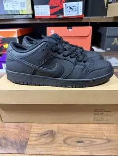 Nike SB Dunk Low Pro ISO 
