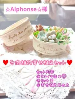 ✩Alphonse✩様ご専用❣️多肉植物 カット苗 セダムなど寄せ植えセット❣️