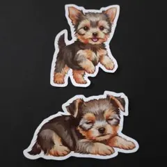 ヨークシャテリア　ステッカー　2枚　かわいい　犬　シール　Dog　動物　アニマル