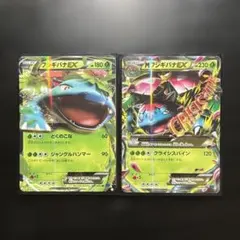 MフシギバナEX＆フシギバナEX 【RR】 XY1 コレクションXのサムネイル