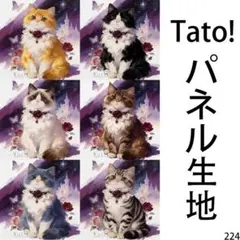 Tato !(=^・^=)パネル生地 月夜のプリンセス D224