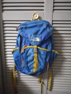 定番★THE NORTH FACEザノースフェイス★TELLUS20リュック青
