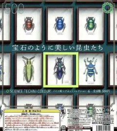 甲虫標本　カミキリムシ、オサムシほか66頭。大型ドイツ標本箱入り 甲虫標本 カミキリムシ、オサムシほか66頭。大型ドイツ標本箱入り