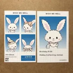 ウィッシュミーメル サンリオ 証明写真風スマロイド