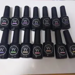 新品未開封 14本　WaterMagnetジェルネイル　ネイル工房