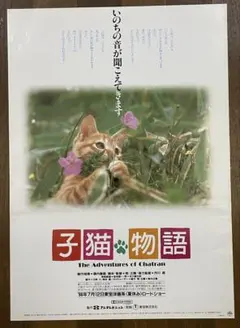 館名入り映画パンフレット 『子猫物語』（新宿プラザ劇場） - メルカリ