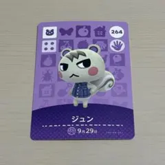 amiibo ジュン　あつ森