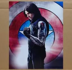 【東京コミコンくじ】セバスチャン・スタン　セレブフォト