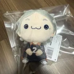 ハイキュー!! もちぴこぬいぐるみ　菅原孝支　スガ
